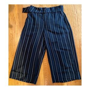 Ruti Pinstriped Wide Leg Pants with Belt